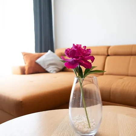 Misia Lapa Apartment *