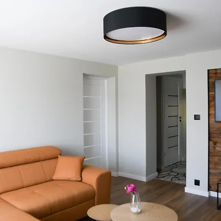 Misia Lapa * Grywald