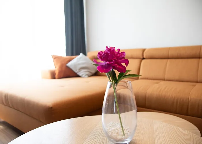 Misia łapa Apartament *