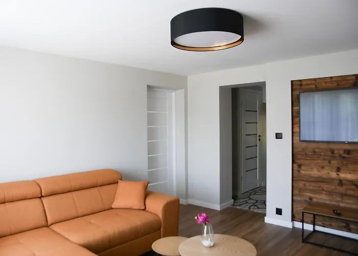 Misia łapa * Grywald