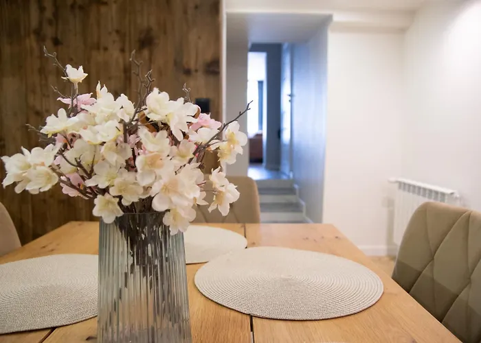 Misia łapa Apartament *